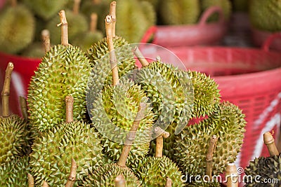 Tropical fruit Stock Photo