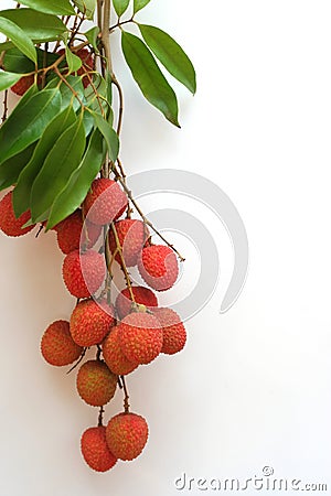 Tropical Fruits #4 Stock Photo