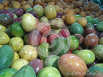 Tropical Fruits Stock Photo
