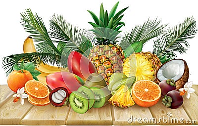 Tropical fruits collection on a wooden surface Vector Illustration