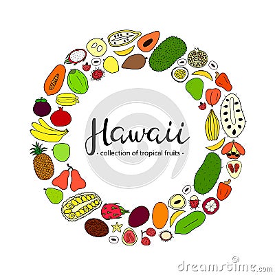 Tropical fruits of Hawaii in circle. Vector Illustration