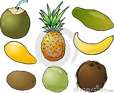 Tropical fruits illustration Vector Illustration