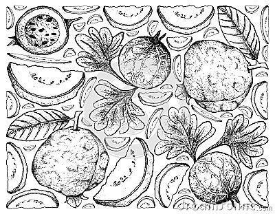 Hand Drawn Background of Guava and Indian Gooseberry Vector Illustration