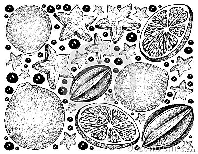 Hand Drawn Background of Carambola and Lime Fruits Vector Illustration