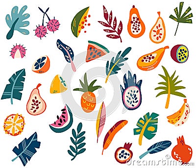 Tropical fruits and leaves. Organic fruits or vegetarian food. Natural sweet fruit, Vegan kitchen. Healthy food and vitamins. Vector Illustration