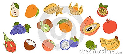 Tropical fruits set. Healthy exotic food. Natural fresh exotic vitamin. Vector Illustration
