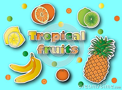 Tropical fruits stickers set Vector Illustration