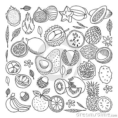 Tropical fruits. Vector illustration, doodle set Vector Illustration