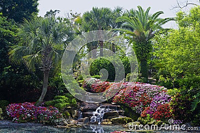 Tropical Garden Stock Photo