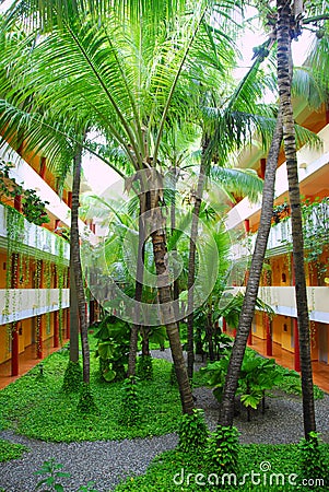 Tropical garden inside Stock Photo