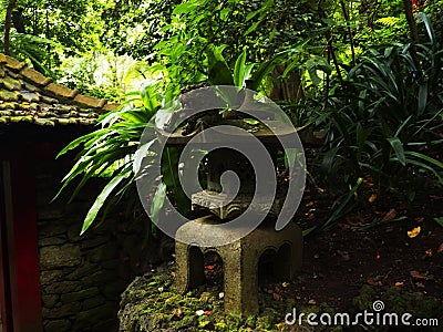 Tropical Garden at Monte above Funchal Madeira Editorial Stock Photo