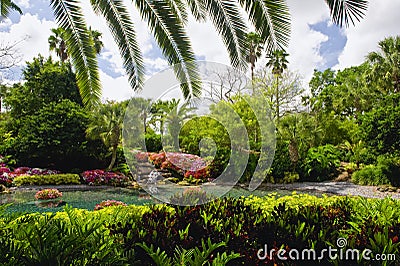 Tropical garden scenery Stock Photo