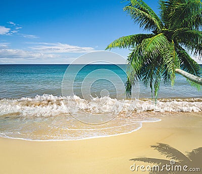 Tropical golden sand beach Stock Photo