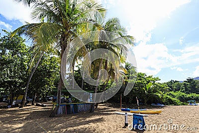 Dive shack beneath swaying palms on exotic Grande Anse beach in French Guadeloupe Stock Photo