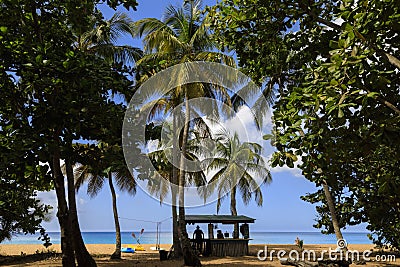 Silhouette of dive shack beneath slender palms and a view to the seas of Grande Anse Beach Editorial Stock Photo