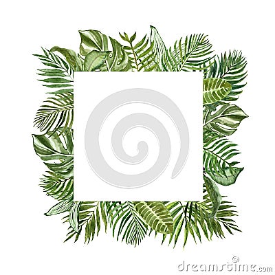 Tropical green foliage square frame for cards, banners. Watercolor summer exotic plants and leaves border on white background Cartoon Illustration