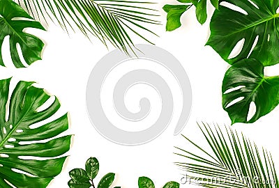 Tropical green palm leaves, branches pattern frame on a white background. Stock Photo