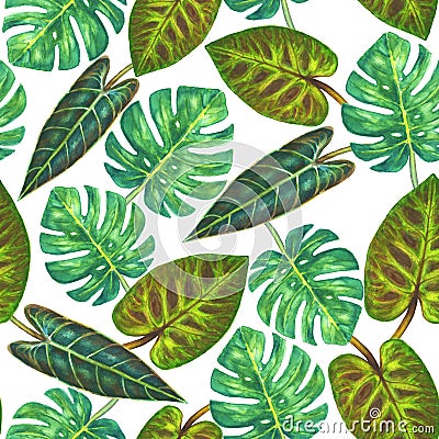 Tropical green plants background Cartoon Illustration
