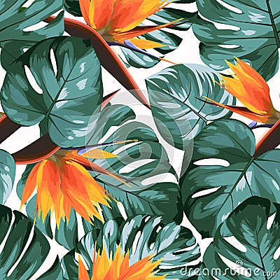 Tropical greenery philodendron monstera jungle rainforest tree leaves. Bright orange strelitzia bird of paradise flowers Vector Illustration