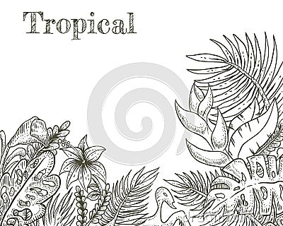 Tropical hand drawn vector illustration Cartoon Illustration