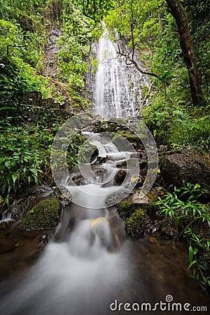 Tropical Hawaiian waterfall deep in the rianforest Stock Photo