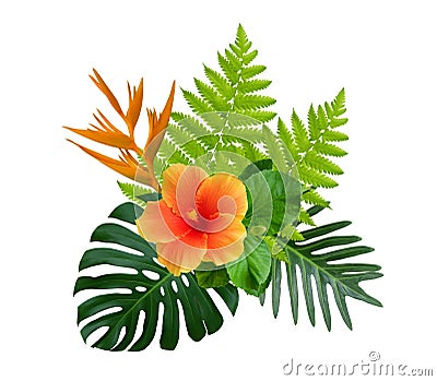 Tropical hibiscus and Strelitzia reginae flowers on green monstera and fern leaves plant bush isolated on white Stock Photo