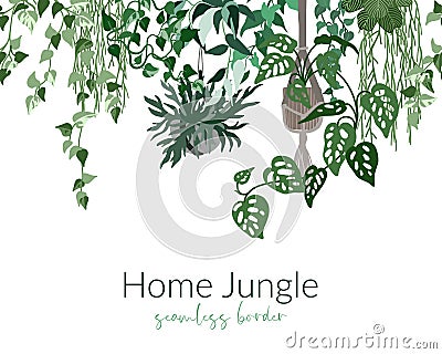 Tropical home plants in pots, seamless border Vector Illustration