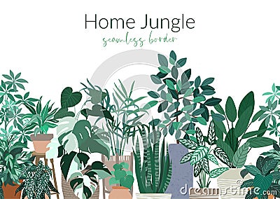 Tropical home plants in pots, seamless border Vector Illustration