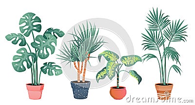 Tropical house plants decor vector illustration set, cartoon flat potted plant from tropics botanical collection in clay Vector Illustration