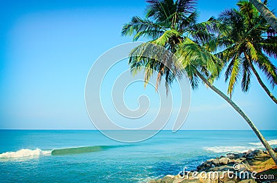 Tropical Indian village in Varkala, Kerala, India Stock Photo