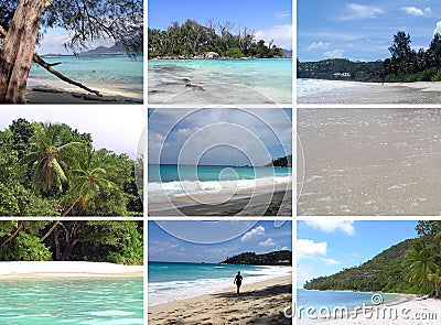 Tropical installation. Seychelles. Stock Photo