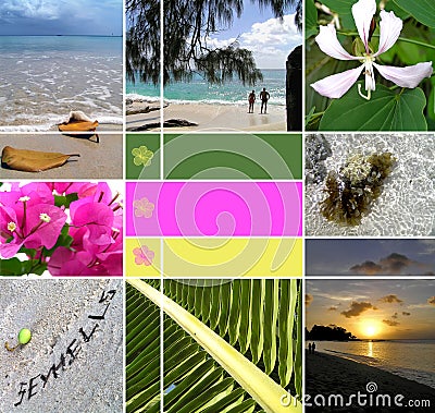 Tropical installation. Seychelles. Stock Photo