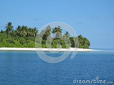 A Tropical Island in Maldives Stock Photo