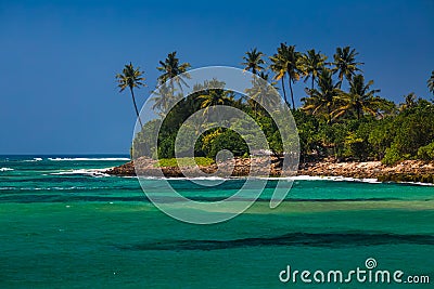 Tropical island with palm trees Stock Photo