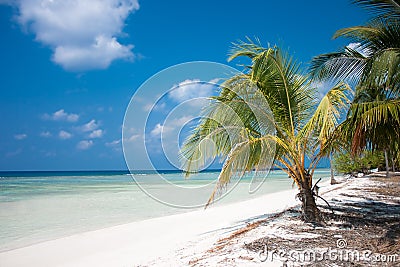 Tropical Island Paradise Stock Photo