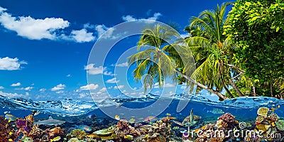 Tropical island paradise beach with underwater water wve surface with colorful coral reef sea ocean life. shark fish sea turle. Stock Photo