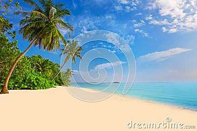 Tropical island with sandy beach, palm trees, overwater bungalow Stock Photo