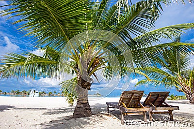 Tropical island with sandy beach, palm trees and tourquise clear Stock Photo