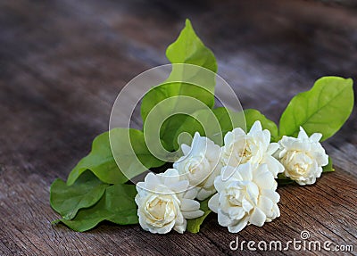 Tropical jasmine flower on wood. Stock Photo