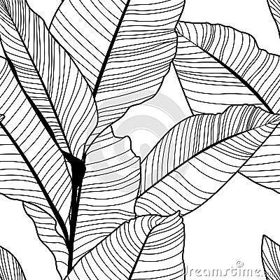 Tropical jungle banana leaf pattern, black and white Vector Illustration