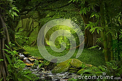 Tropical jungle Stock Photo