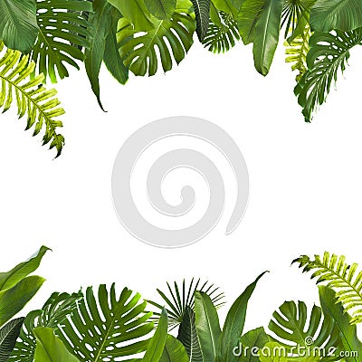 Tropical Jungle Leaves Background Stock Photo