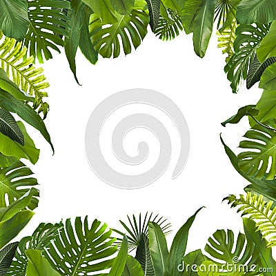 Tropical Jungle Leaves Background Stock Photo