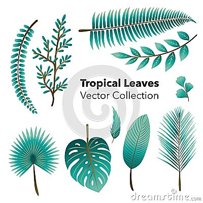 Tropical Jungle Leaves, Fern, Vector Set isolated on white background Vector Illustration