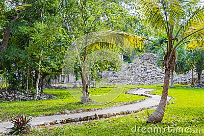 Tropical jungle plants trees walking trails Muyil Mayan ruins Mexico Stock Photo