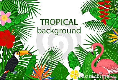 Tropical jungle rainforest plants flowers birds, flamingo, toucan background. Stock Photo