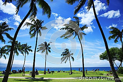 Tropical landscape Stock Photo