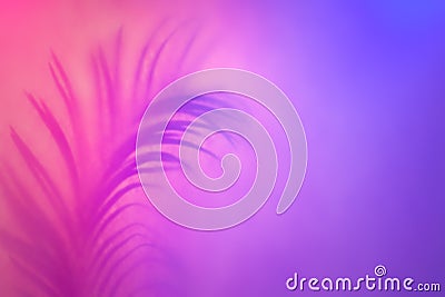Tropical Leaf shadow in trendy duotone neon backlight. Abstract background in purple colors Stock Photo