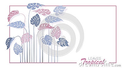 Tropical leafy background, frame. Monstera Leaves. Vector Illustration