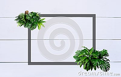 Tropical leaves, abstract green leaves texture, nature background Stock Photo